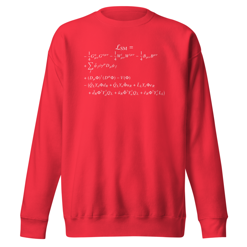 Standard Model Lagrangian Team Red